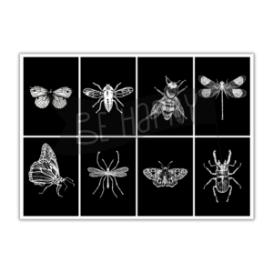 B&W Bug Cards